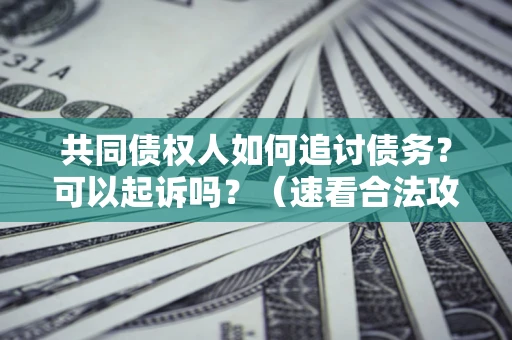 济南共同债权人如何追讨债务？可以起诉吗？（速看合法攻略）